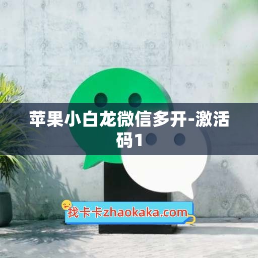 苹果小白龙微信多开-激活码1