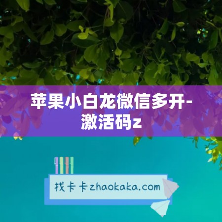 苹果小白龙微信多开-激活码z