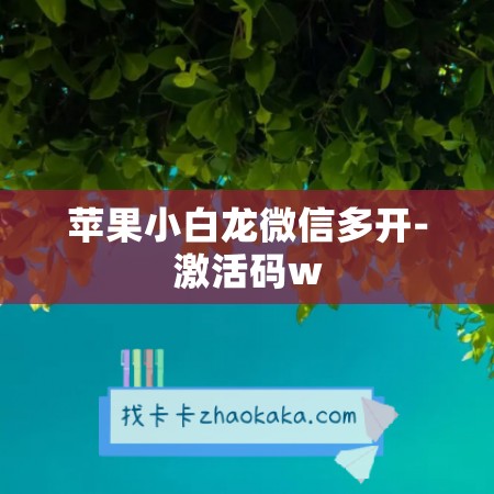 苹果小白龙微信多开-激活码w