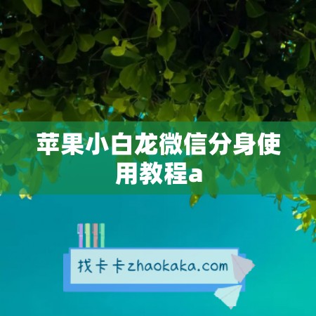 苹果小白龙微信分身使用教程a