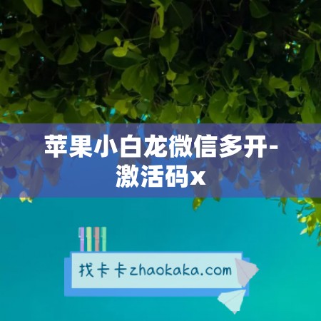 苹果小白龙微信多开-激活码x