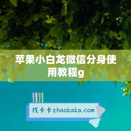 苹果小白龙微信分身使用教程g