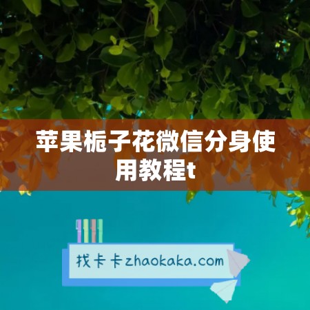 苹果栀子花微信分身使用教程t