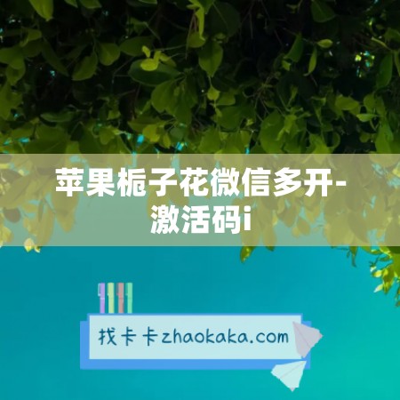 苹果栀子花微信多开-激活码i