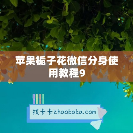 苹果栀子花微信分身使用教程9