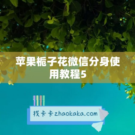 苹果栀子花微信分身使用教程5