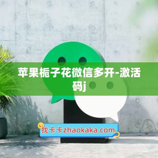 苹果栀子花微信多开-激活码j