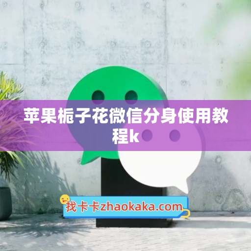 苹果栀子花微信分身使用教程k