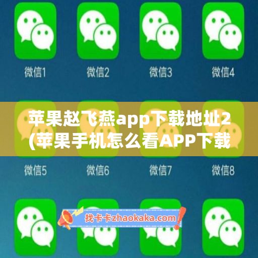苹果赵飞燕app下载地址2(苹果手机怎么看APP下载地址)