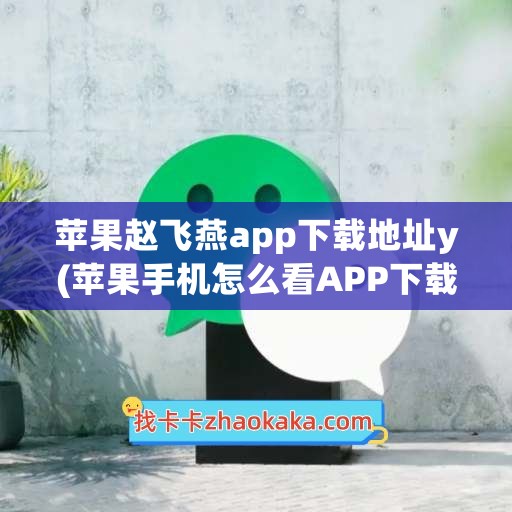 苹果赵飞燕app下载地址y(苹果手机怎么看APP下载地址)