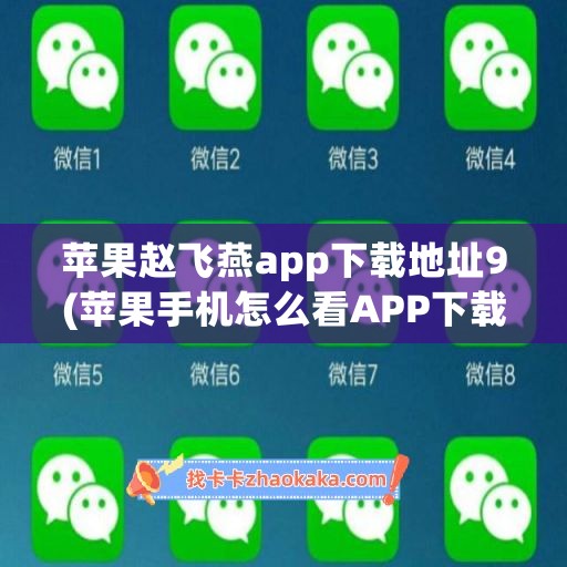 苹果赵飞燕app下载地址9(苹果手机怎么看APP下载地址)