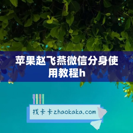 苹果赵飞燕微信分身使用教程h