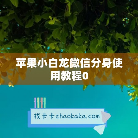 苹果小白龙微信分身使用教程0