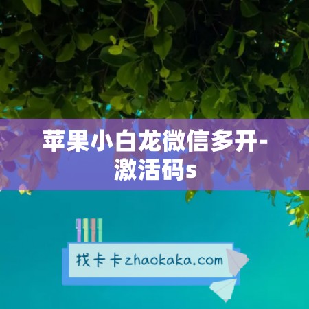 苹果小白龙微信多开-激活码s