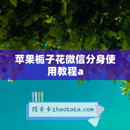 苹果栀子花微信分身使用教程a