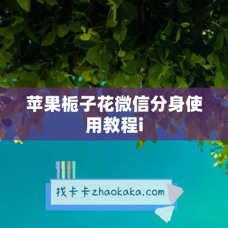 苹果栀子花微信分身使用教程i