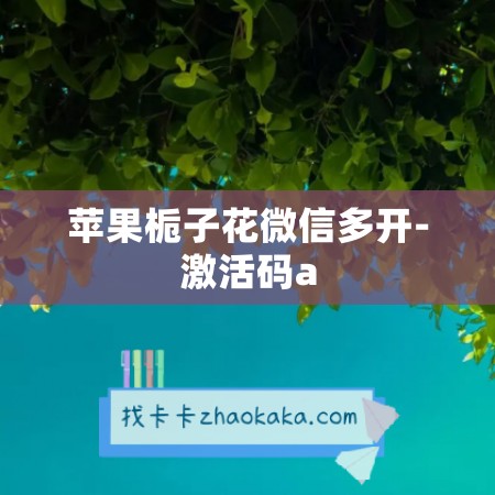 苹果栀子花微信多开-激活码a