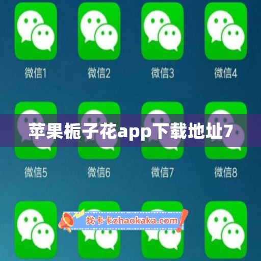 苹果栀子花app下载地址7