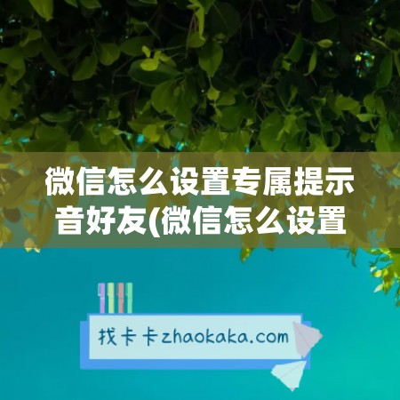 微信怎么设置专属提示音好友(微信怎么设置专属铃)