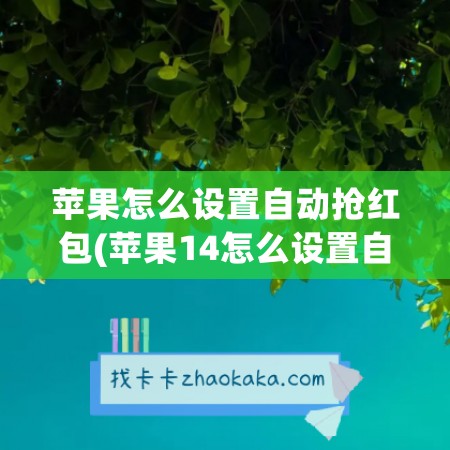 苹果怎么设置自动抢红包(苹果14怎么设置自动抢红包功能)