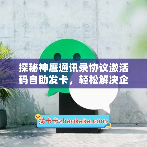 探秘神鹰通讯录协议激活码自助发卡，轻松解决企业通讯录难题 - 副本