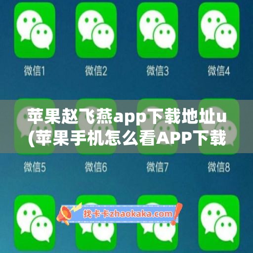 苹果赵飞燕app下载地址u(苹果手机怎么看APP下载地址)