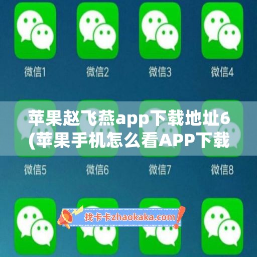 苹果赵飞燕app下载地址6(苹果手机怎么看APP下载地址)