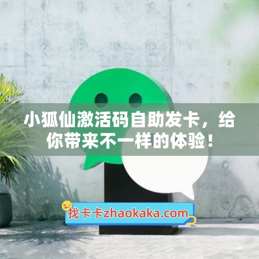 小狐仙激活码自助发卡，给你带来不一样的体验！