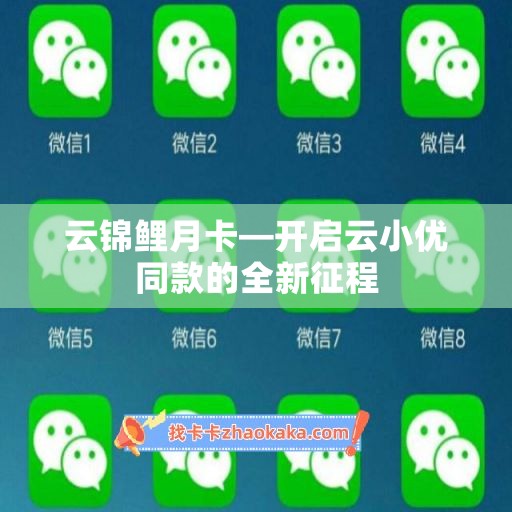 云锦鲤月卡—开启云小优同款的全新征程