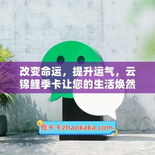 改变命运，提升运气，云锦鲤季卡让您的生活焕然一新