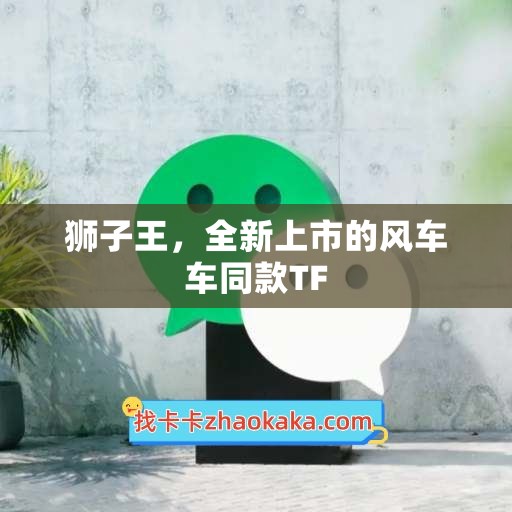 狮子王，全新上市的风车车同款TF