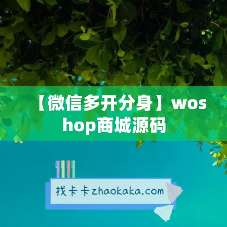 【微信多开分身】woshop商城源码