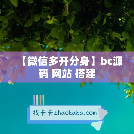 【微信多开分身】bc源码 网站 搭建