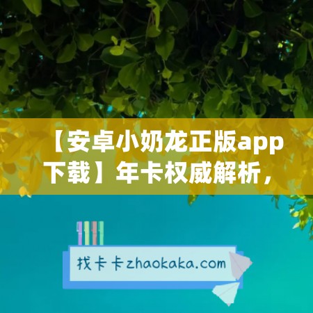 【安卓小奶龙正版app下载】年卡权威解析，畅享终身游戏乐趣