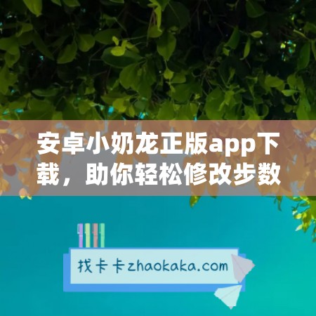 安卓小奶龙正版app下载，助你轻松修改步数