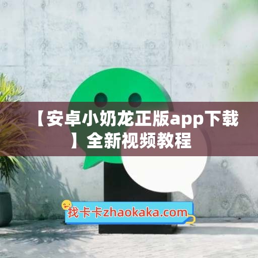 【安卓小奶龙正版app下载】全新视频教程