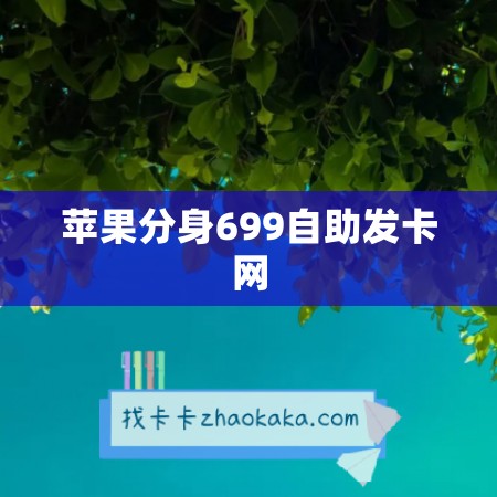 苹果分身699自助发卡网