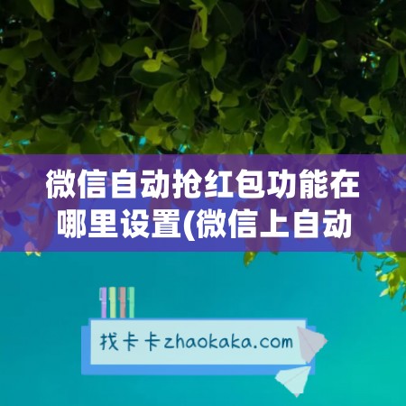 微信自动抢红包功能在哪里设置(微信上自动扣费)