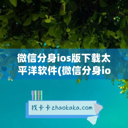 微信分身ios版下载太平洋软件(微信分身ios免费版)