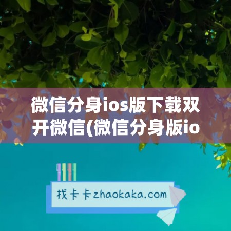 微信分身ios版下载双开微信(微信分身版ios下载苹果免费)