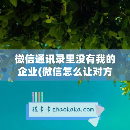 微信通讯录里没有我的企业(微信怎么让对方通讯录没有我)