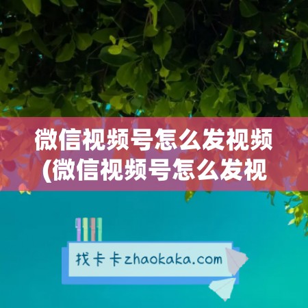 微信视频号怎么发视频(微信视频号怎么发视频带货链接)