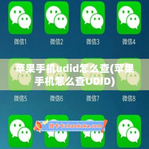 苹果手机udid怎么查(苹果手机怎么查UDID)