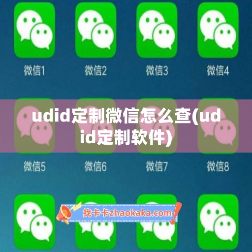 udid定制微信怎么查(udid定制软件)