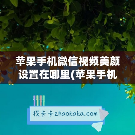 苹果手机微信视频美颜设置在哪里(苹果手机微信视频没有声音)