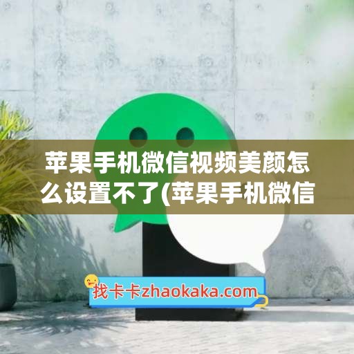 苹果手机微信视频美颜怎么设置不了(苹果手机微信视频录屏怎么录声音)