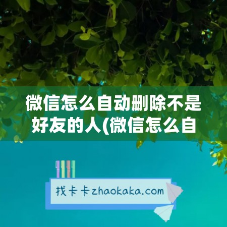 微信怎么自动删除不是好友的人(微信怎么自动加好友)