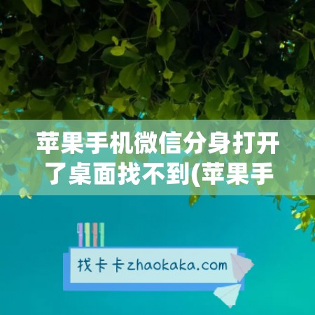 苹果手机微信分身打开了桌面找不到(苹果手机微信分身没有声音)