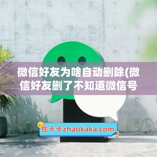 微信好友为啥自动删除(微信好友删了不知道微信号怎么办)