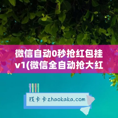 微信自动0秒抢红包挂v1(微信全自动抢大红包挂)